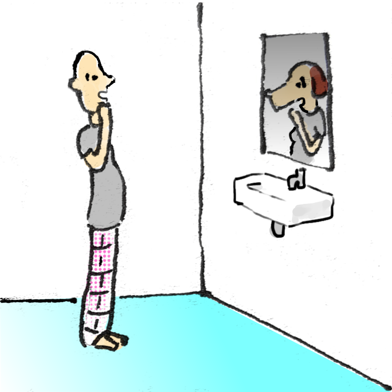 Panel 2: The image in the mirror has changed to a woman with a dog's head wearing the same grey t-shirt. The man and the mirror image look shocked.