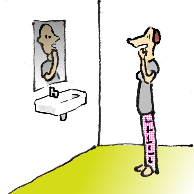 Panel 3: Now the whole image of the bathroom is reversed. The woman with the dog's head is standing in front of the bathroom mirror. The woman is wearing the same grey t-shirt and pyjama bottoms. The floor is lime green. The woman and the reflection both look shocked.