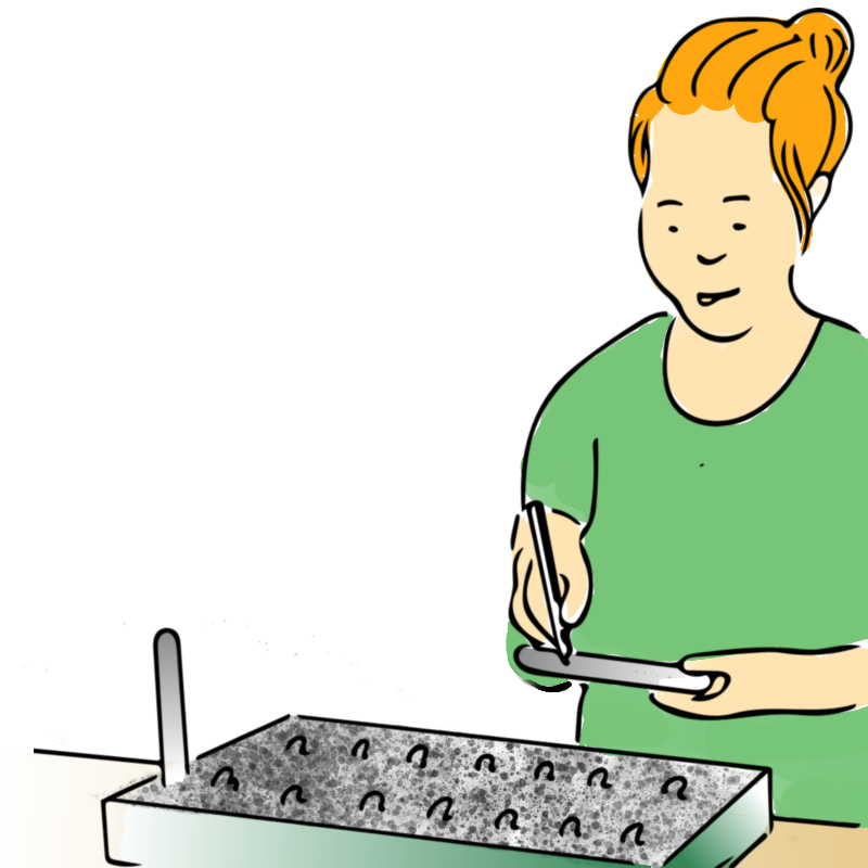 Panel 3: The seeds are all planted and the woman is writing a label.